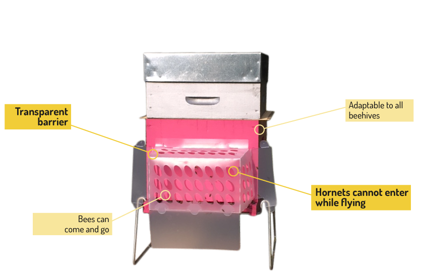 beehives with Stop it system